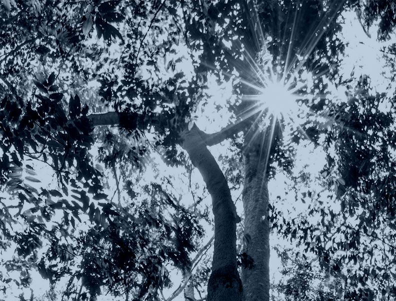 Grow, Rise & Thrive in 2021!