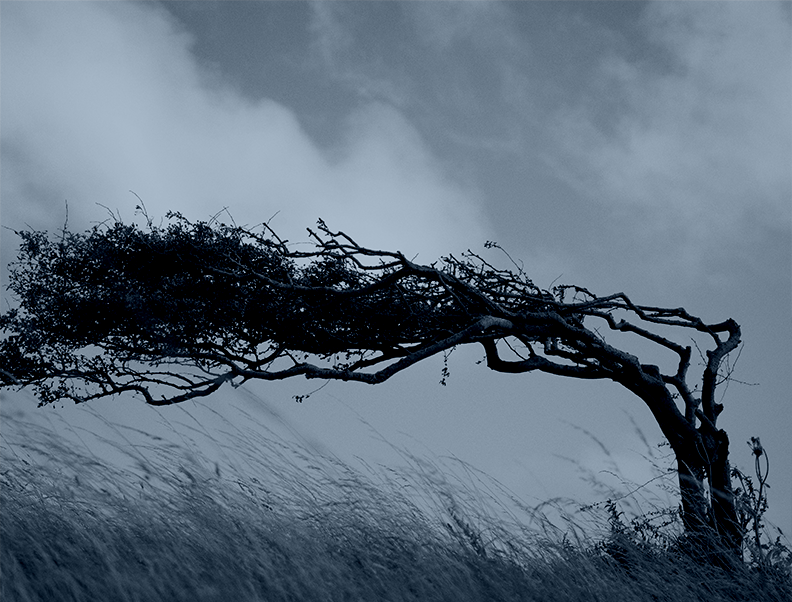 Creating Financial Resilience