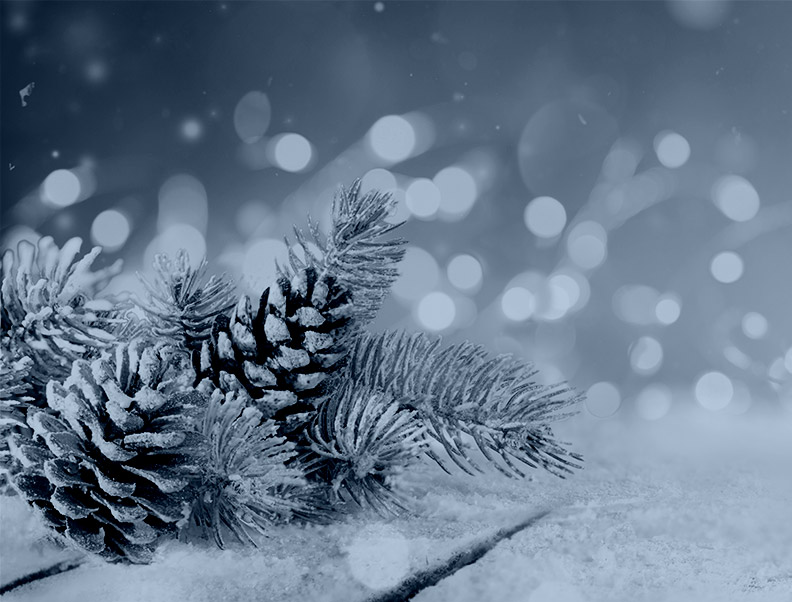 6th Annual Women's Forum Holiday Soirée