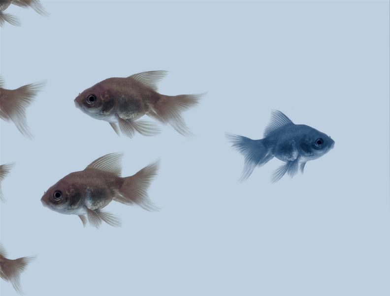 Rebel Leadership blog